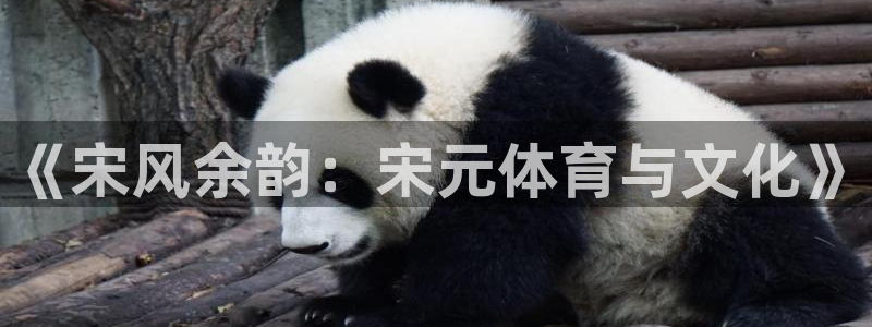 3377体育(中国)官方网站