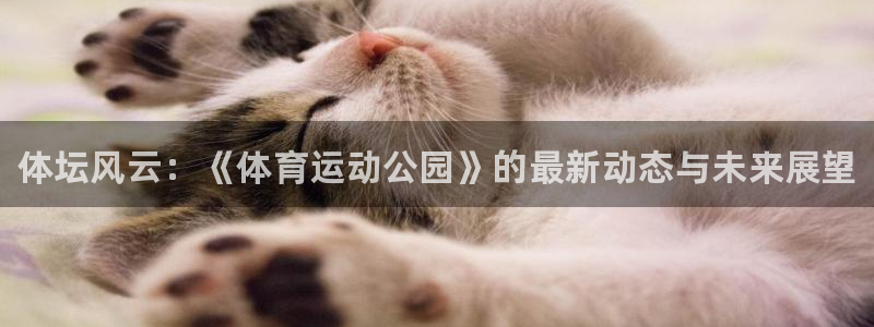 3377体育官网下载